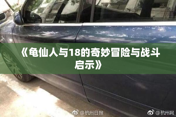 《龟仙人与18的奇妙冒险与战斗启示》