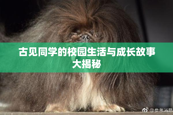古见同学的校园生活与成长故事大揭秘