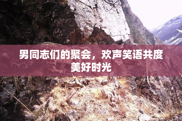 男同志们的聚会，欢声笑语共度美好时光