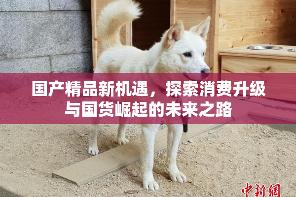 国产精品新机遇，探索消费升级与国货崛起的未来之路