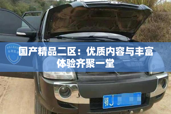 国产精品二区：优质内容与丰富体验齐聚一堂