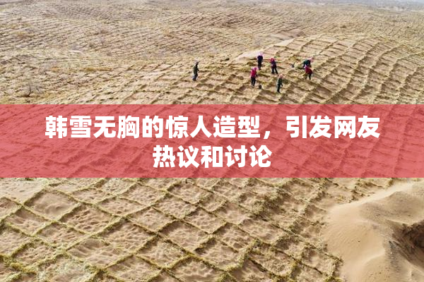 韩雪无胸的惊人造型，引发网友热议和讨论