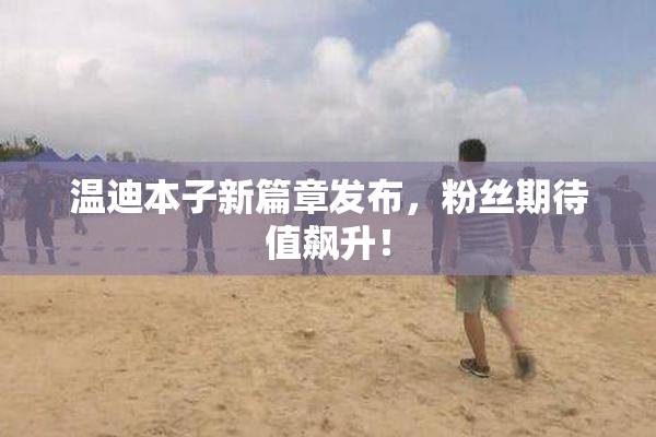 温迪本子新篇章发布，粉丝期待值飙升！