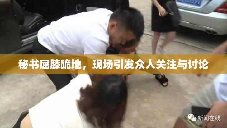 秘书屈膝跪地，现场引发众人关注与讨论