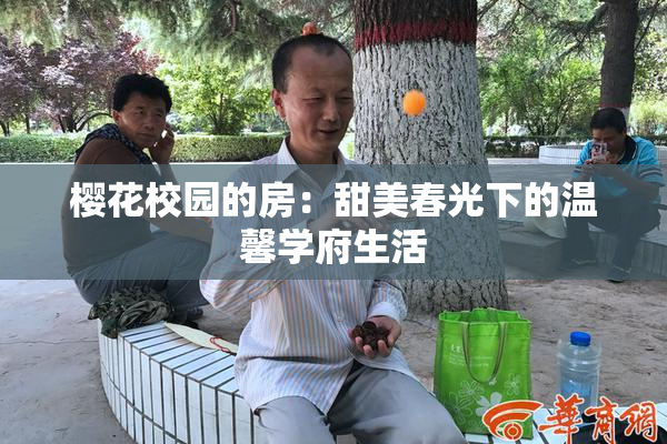 樱花校园的房：甜美春光下的温馨学府生活
