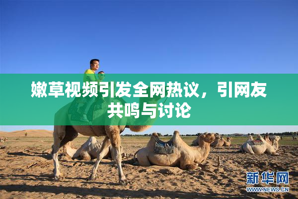 嫩草视频引发全网热议，引网友共鸣与讨论