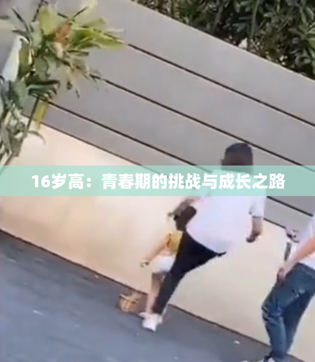 16岁高：青春期的挑战与成长之路