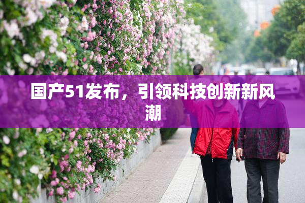 国产51发布，引领科技创新新风潮