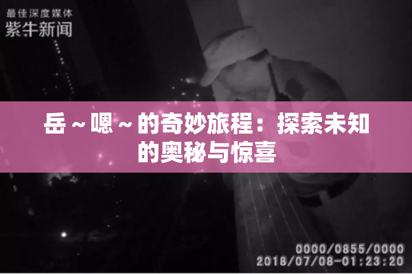岳～嗯～的奇妙旅程：探索未知的奥秘与惊喜