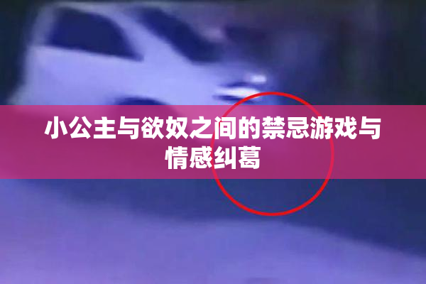 小公主与欲奴之间的禁忌游戏与情感纠葛