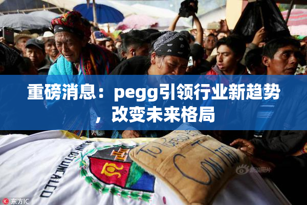 重磅消息：pegg引领行业新趋势，改变未来格局