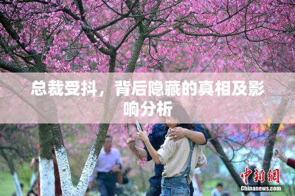 总裁受抖，背后隐藏的真相及影响分析