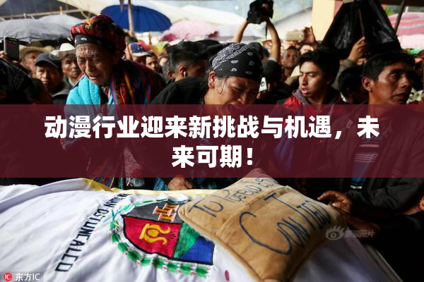 动漫行业迎来新挑战与机遇，未来可期！