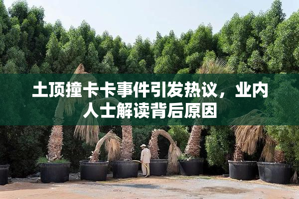 土顶撞卡卡事件引发热议，业内人士解读背后原因