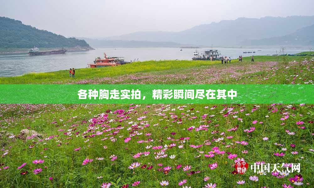 各种胸走实拍，精彩瞬间尽在其中