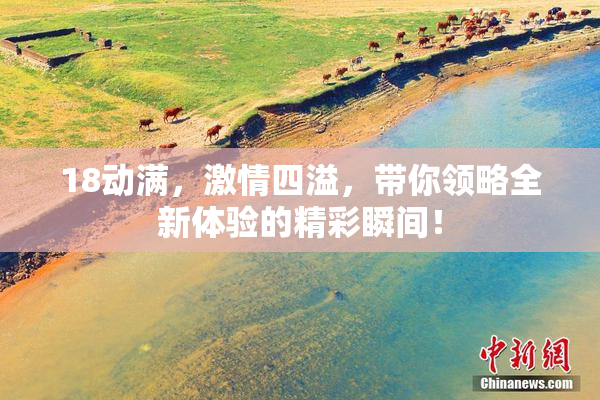 18动满，激情四溢，带你领略全新体验的精彩瞬间！