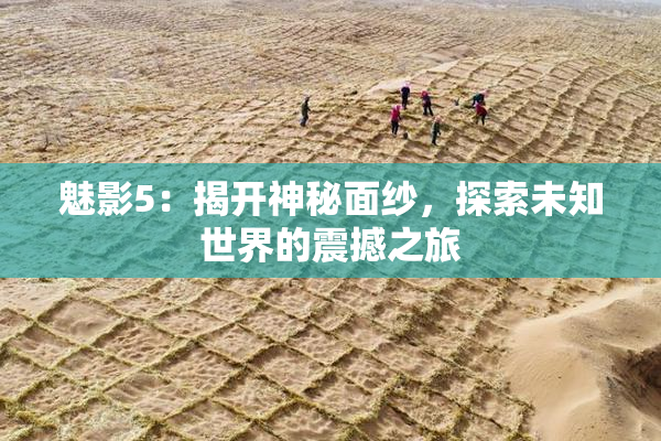 魅影5：揭开神秘面纱，探索未知世界的震撼之旅