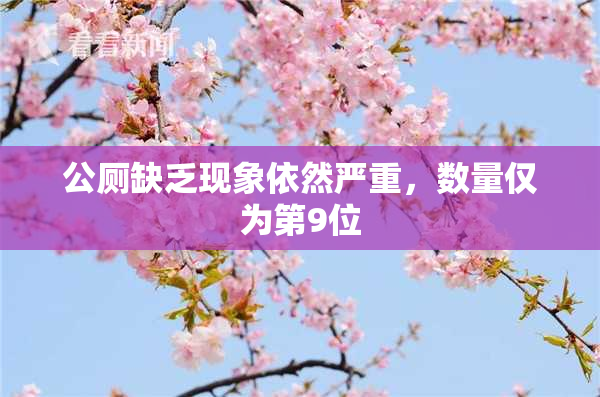 公厕缺乏现象依然严重，数量仅为第9位