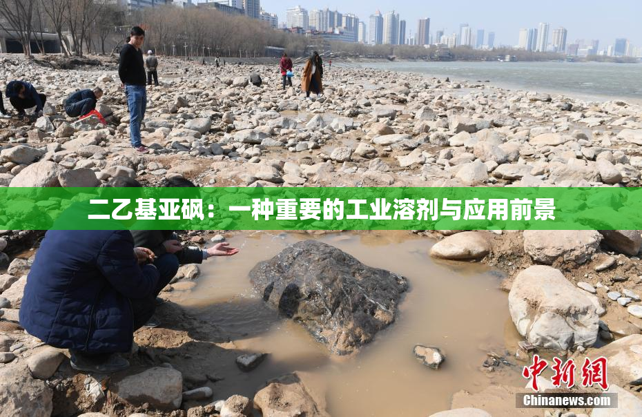 二乙基亚砜：一种重要的工业溶剂与应用前景