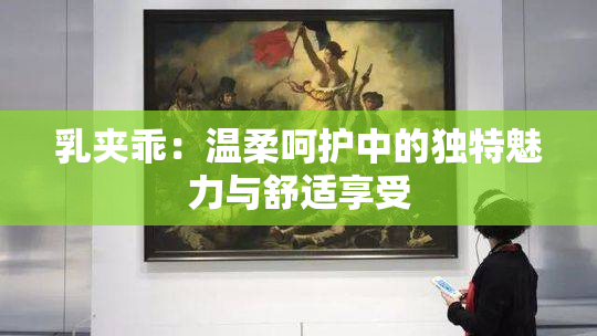 乳夹乖：温柔呵护中的独特魅力与舒适享受