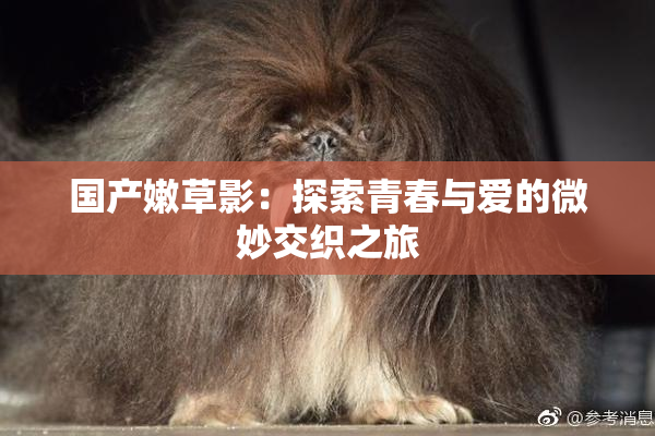 国产嫩草影：探索青春与爱的微妙交织之旅