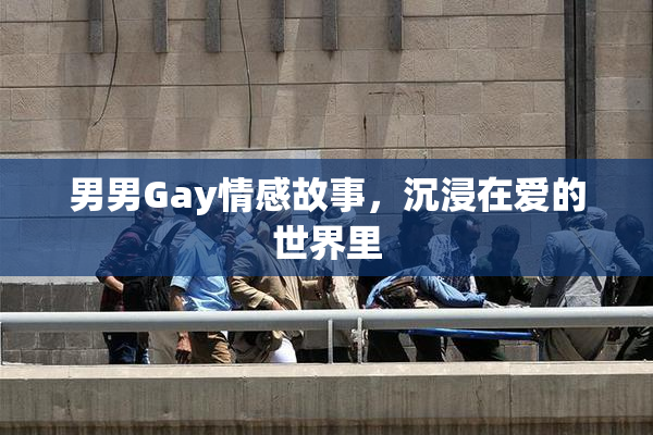 男男Gay情感故事，沉浸在爱的世界里