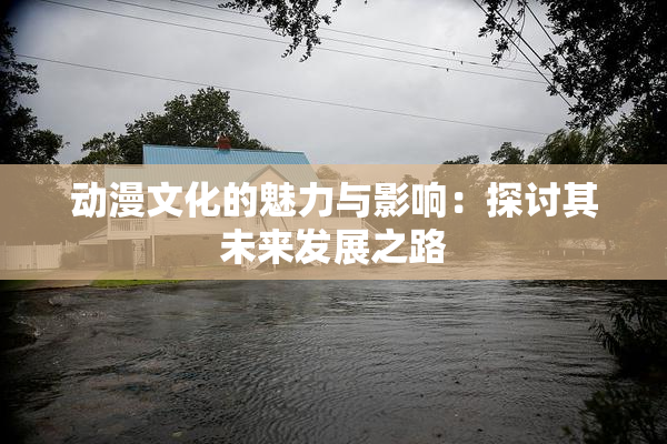 动漫文化的魅力与影响：探讨其未来发展之路