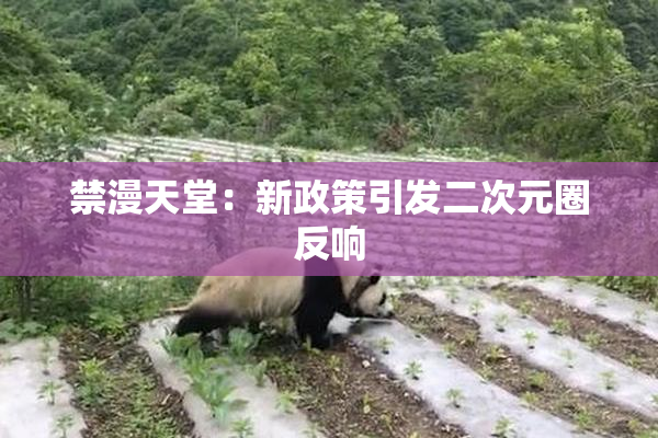 禁漫天堂：新政策引发二次元圈反响
