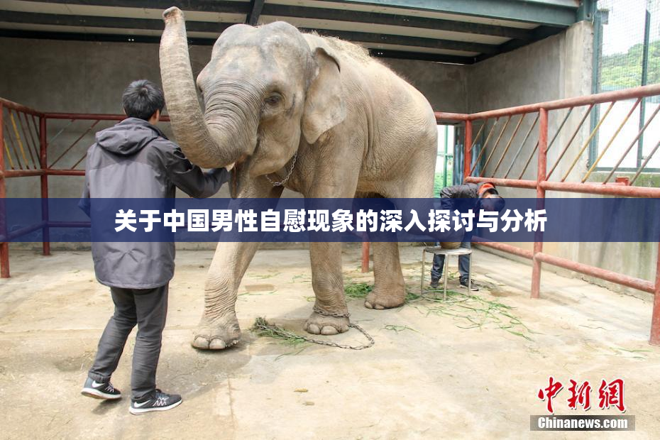 关于中国男性自慰现象的深入探讨与分析