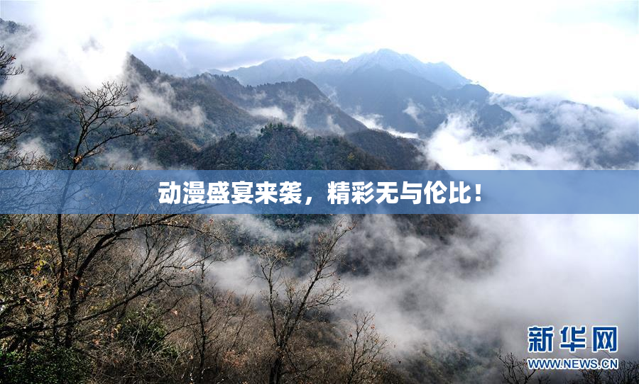 动漫盛宴来袭，精彩无与伦比！