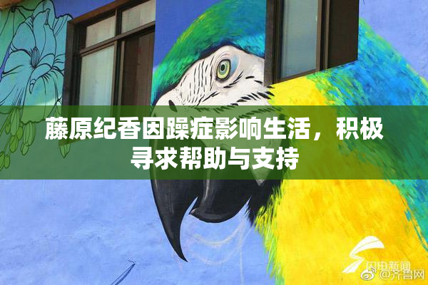 藤原纪香因躁症影响生活，积极寻求帮助与支持