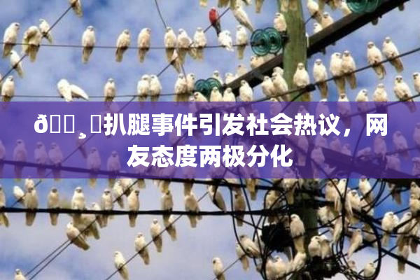 🌸‌扒腿事件引发社会热议，网友态度两极分化