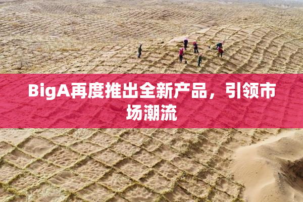 BigA再度推出全新产品，引领市场潮流