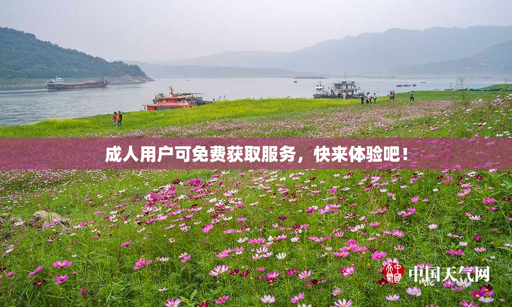 成人用户可免费获取服务，快来体验吧！