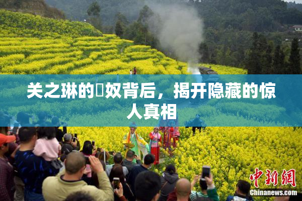关之琳的婬奴背后，揭开隐藏的惊人真相