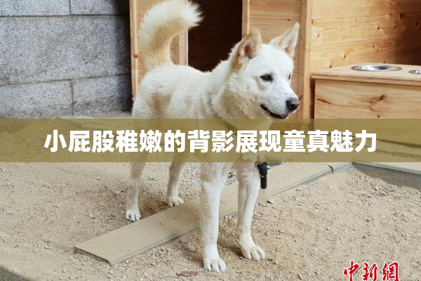 小屁股稚嫩的背影展现童真魅力