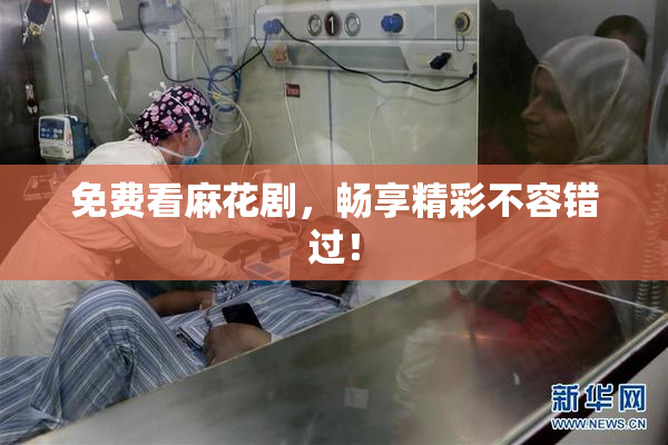 免费看麻花剧，畅享精彩不容错过！