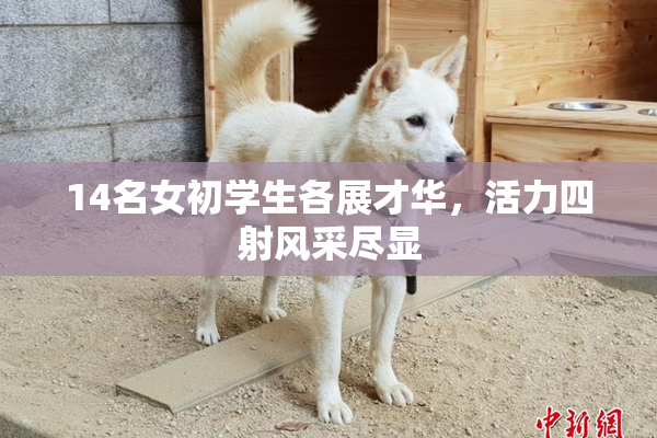 14名女初学生各展才华，活力四射风采尽显