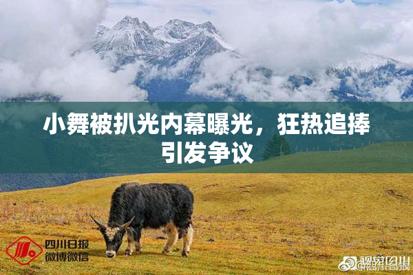 小舞被扒光内幕曝光，狂热追捧引发争议