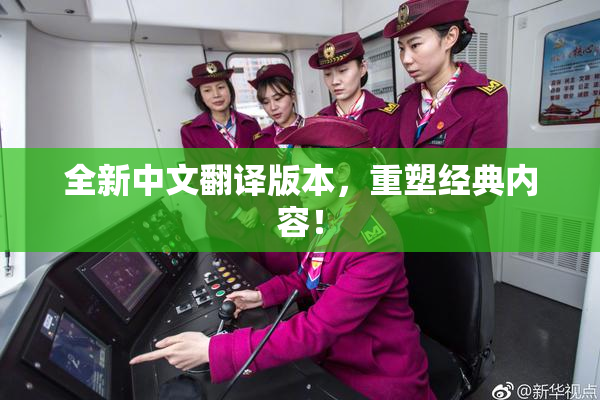 全新中文翻译版本，重塑经典内容！