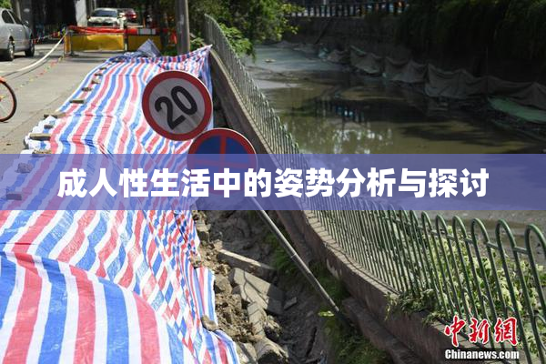 成人性生活中的姿势分析与探讨