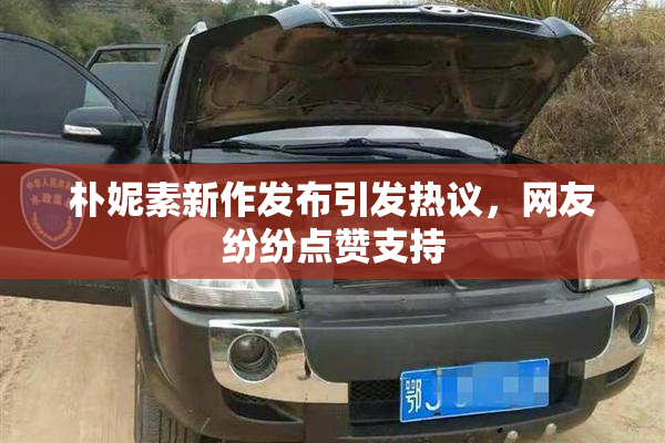 朴妮素新作发布引发热议，网友纷纷点赞支持