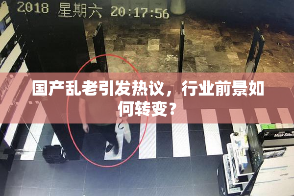 国产乱老引发热议，行业前景如何转变？
