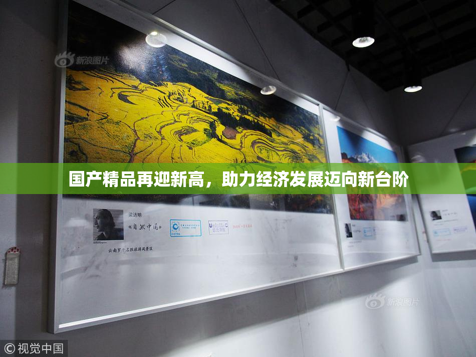 国产精品再迎新高，助力经济发展迈向新台阶