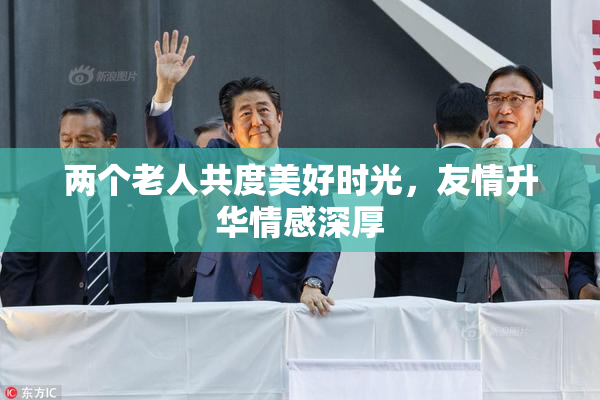 两个老人共度美好时光，友情升华情感深厚