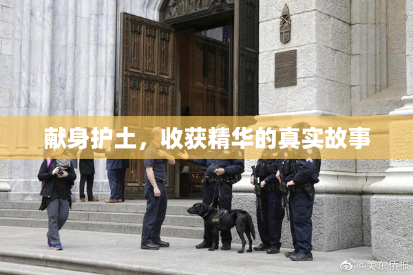 献身护土，收获精华的真实故事