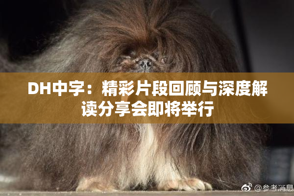 DH中字：精彩片段回顾与深度解读分享会即将举行