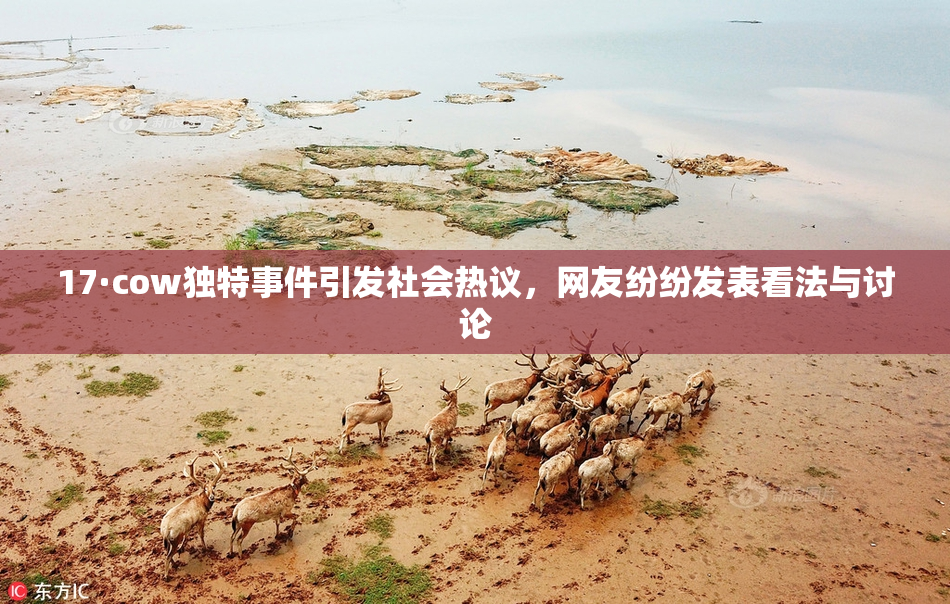 17·cow独特事件引发社会热议，网友纷纷发表看法与讨论