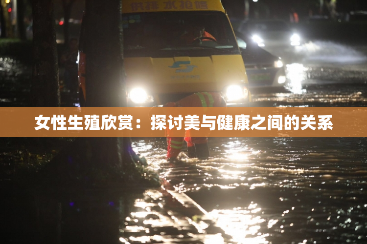 女性生殖欣赏：探讨美与健康之间的关系
