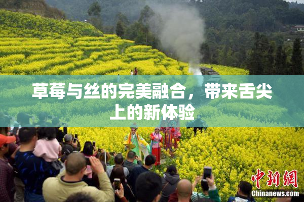 草莓与丝的完美融合，带来舌尖上的新体验